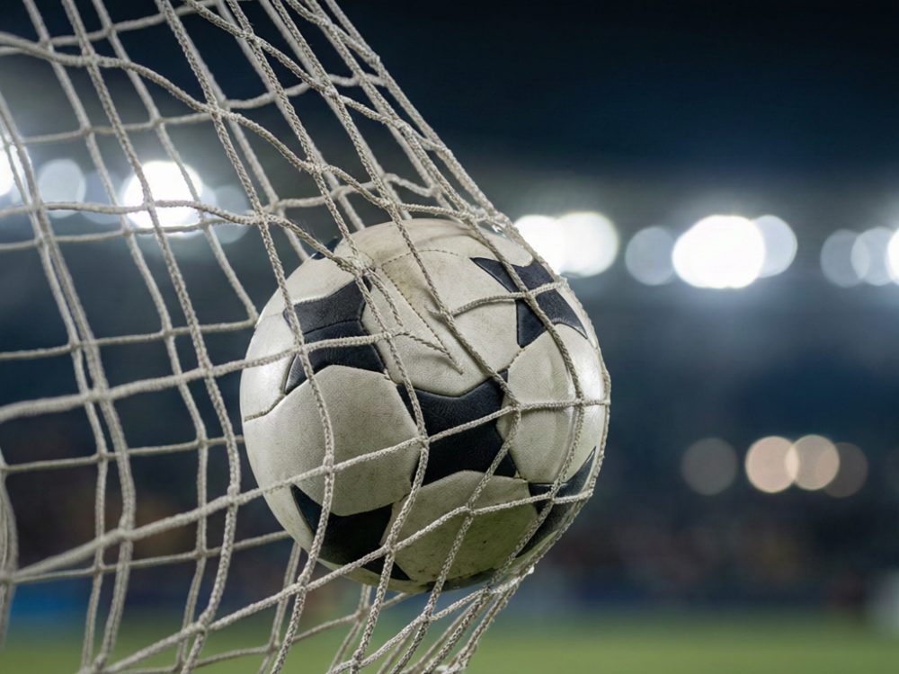 世界杯 夺冠热门：塞内加尔比利时 领衔 最新走势预测分析